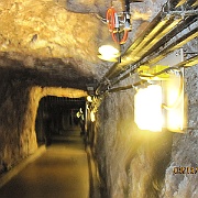 Picture 013
